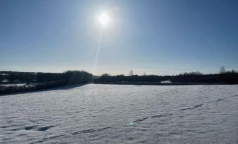 a sunny day in a snowy field , with the sun shining brightly and casting a warm glow on the snowy landscape at The Boot Inn