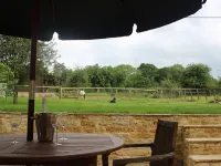 Sunny Nest Hotels in Cold Aston