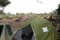 Liya Guest Lodge Hotels in Kasane