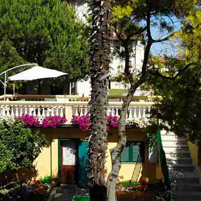 Hostel Pisa Tower Hotel Exterior