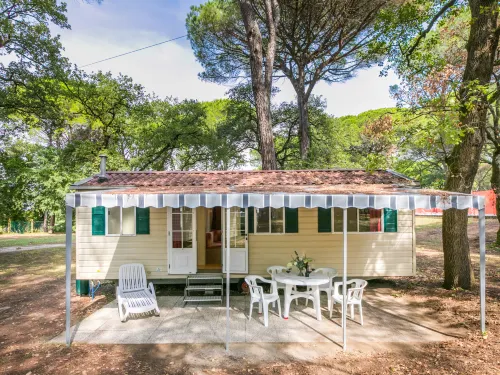 Belvedere Pineta Camping Village - Homestays