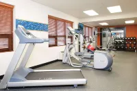 Hampton Inn Columbus/Taylorsville/Edinburgh - Gym