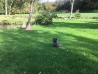 Hos Mette Hotels in Brejning