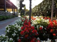 Hotel Bel Sito Peschiera