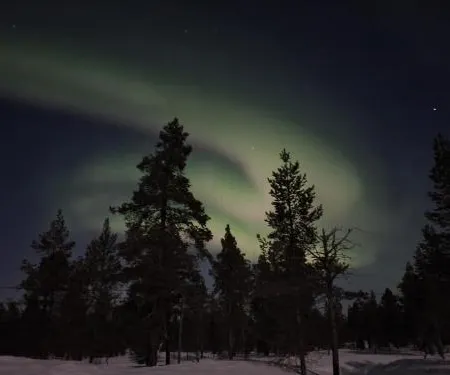 Kuukkeli Log Houses Aurora- Secret Cabin