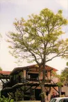 Villa Juana Hotel Hotels near Gaia