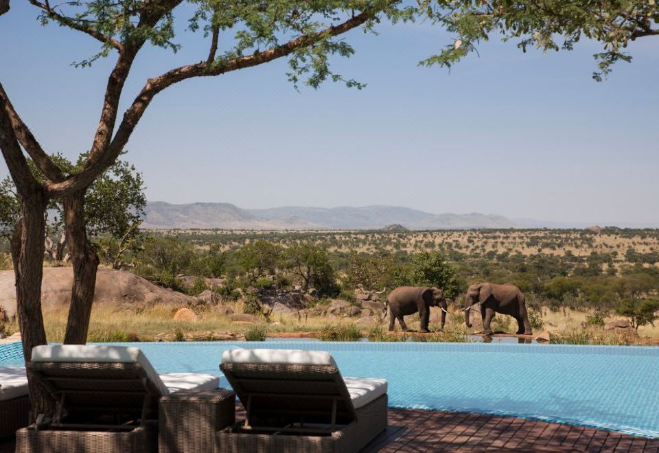 SERENGETI SERENA SAFARI LODGE - Updated 2023 Prices & Reviews (Serengeti  National Park, Tanzania)