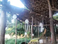 Daltons Banana Guesthouse Hôtels à : 