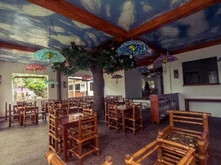 Oasis Resort and Spa Отели в г. Сан-Хосе