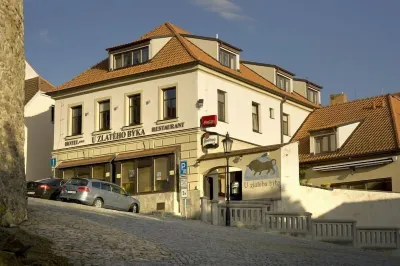 Hotel U Zlateho byka Hotel di 