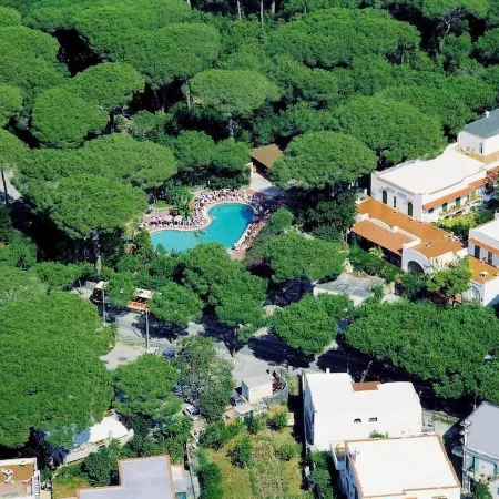 Hotel Pineta