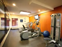 Hampton Inn Port Huron - Gym