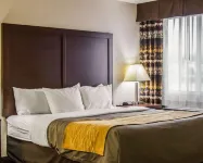 Comfort Inn Hotel di Birch Run