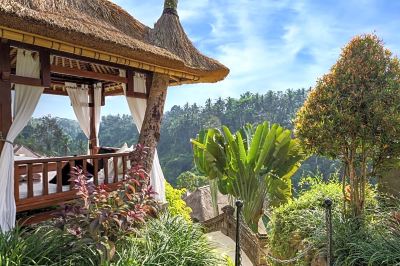 庭 ヴァイスロイバリの写真