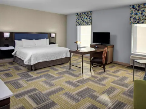 Hampton Inn & Suites Syracuse-North (Airport Area) Отели в г. Салина