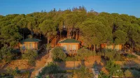 Kairos Valley Health & Nature Resort Hotel di Karakoy Mahallesi