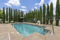 Comfort Suites Carlsbad - piscine