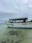 Ratu Kini Backpackers & Dive Resort - Beach