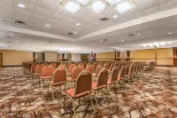 ลอดจ์ ออฟ ดิโอซาร์กส์