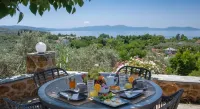 Iakovakis Suites & Spa Hotels in Milies