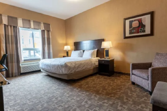 Best Western Plus South Edmonton Inn  Suites