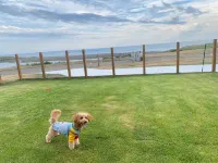 Kurazou Hotels in Urakawa