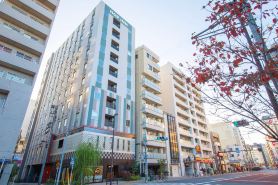 Hop Inn Tokyo Asakusa