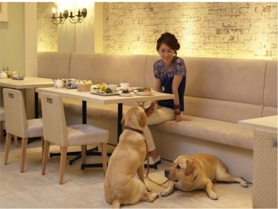 レストラン 小谷流の里 ドギーズアイランドの写真