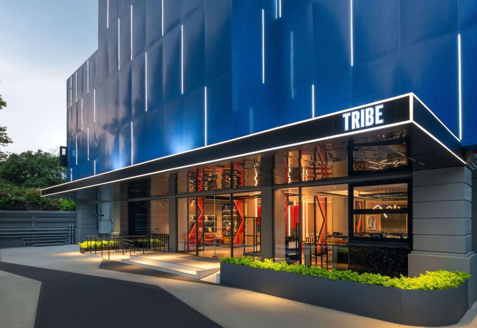 3. TRIBE Li..