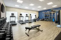 Hampton Inn & Suites by Hilton Franklin Indianapolis - Gym