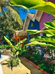 The Boardwalk Village Hotels in Orange Bay