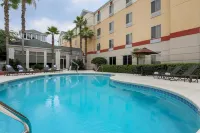 Hilton Garden Inn Tallahassee - Pool