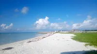 Dream Inn at Thulusdhoo - Pensions