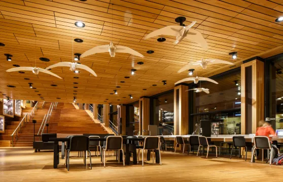 Holiday Inn Express 阿納姆