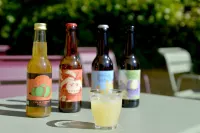 Kyriad Honfleur - la RIVIÈRE Saint Sauveur - bar