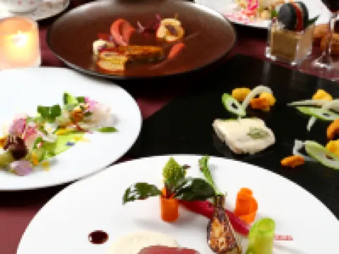 Kyu Karuizawa Hotel Otowa No Mori Hotels in Karuizawa