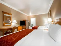 Comfort Inn & Suites San Francisco Airport North Hotels near Trader Joe's