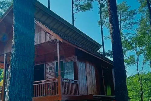 Bunihayu Forest Hotels in Sagalaherang