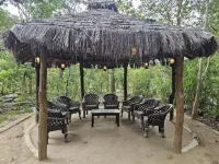 The Celebration Van Vilas