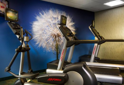 스프링힐 스위트 댈러스 DFW 에어포트 노스/그레이프바인