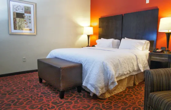 埃爾克城希爾頓歡朋旅館&套房酒店