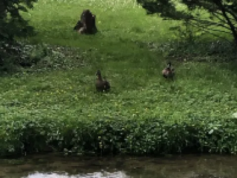 The Olde Springhouse cottage in downtown Abingdon アビンドンのホテル