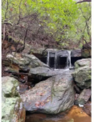 Millarden Farms Bunk House