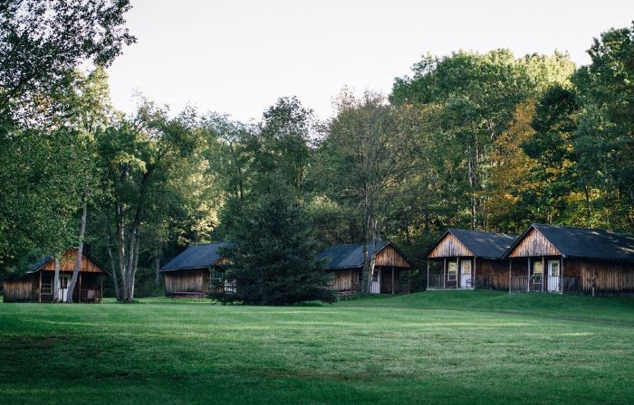 600 Sq. ft Cabin with King Size Bed - Quiet Location, Close to Skiing