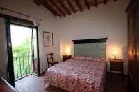 Splendid private villa for 12 people with swimming pool and olive trees