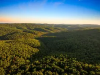 Cozy Cedar Lodge surrounded by Ozark National Forest with great views!