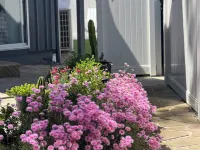 Walk to Everything, Family Getaway Hotels in Anna Bay