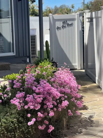 NEW 2 bed, walk to everything!