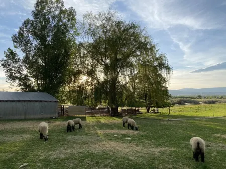 Split Mountain View Paradise! Life on the farm! Отели в г. Винта Каунти