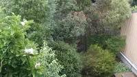 API Leisure & Lifestyle Launceston